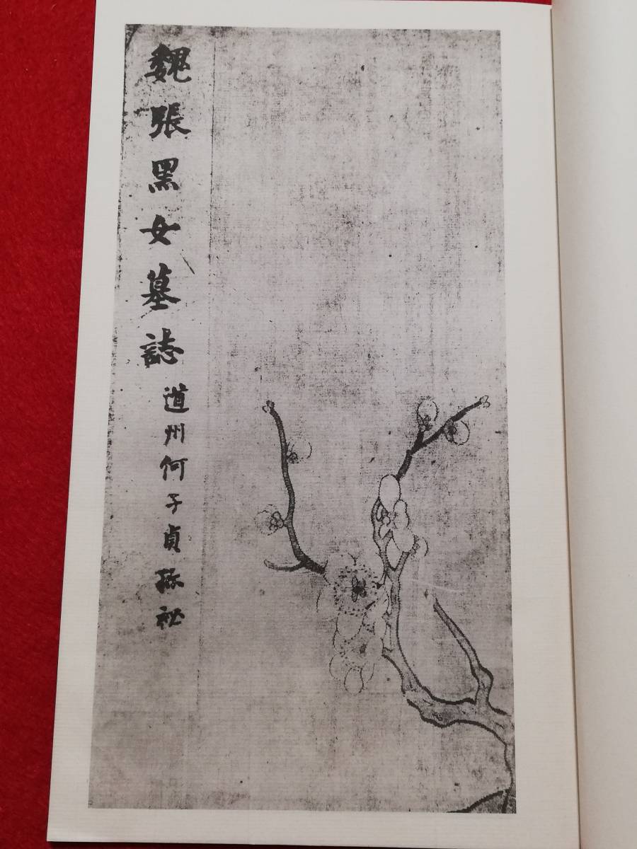 魏張黒女墓誌 碑帖 検:本拓本 墨拓片 原拓 碑刻 法帖 珂羅版 魏張黒女墓誌 碑帖 検:本拓本 墨拓片 原拓 碑刻 法帖 珂羅版