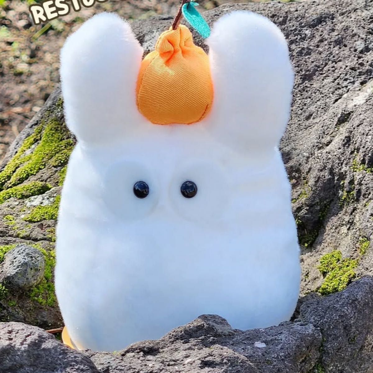 済州島限定 ジブリ となりのトトロ ぬいぐるみセット 小トトロ 猫バス 韓国 済州限定 ジブリ となりのトトロ ぬいぐるみセット 小