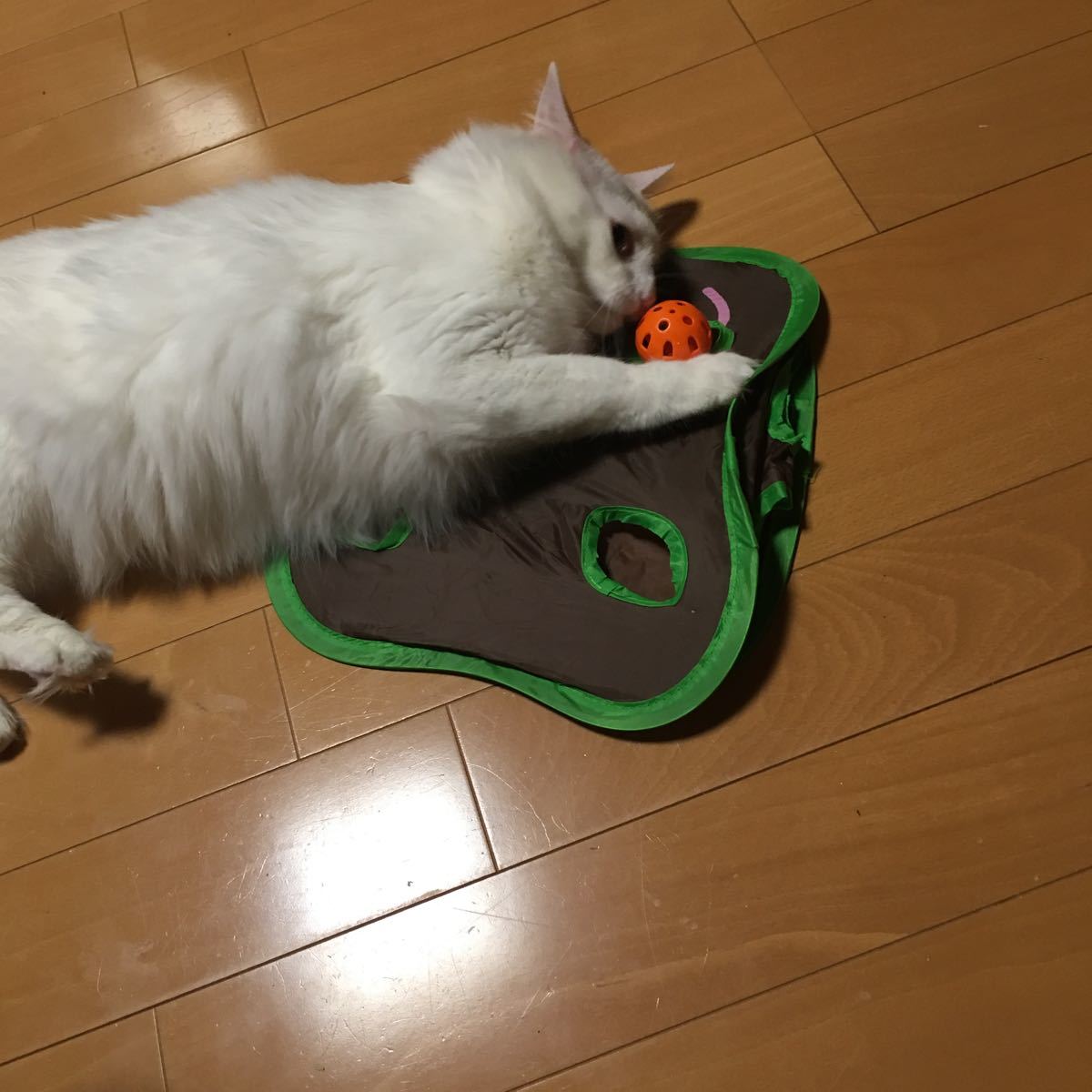 猫のおもちゃ　猫じゃらし　シャカシャカねずみさんのかくれんぼ　猫ちゃん大興奮