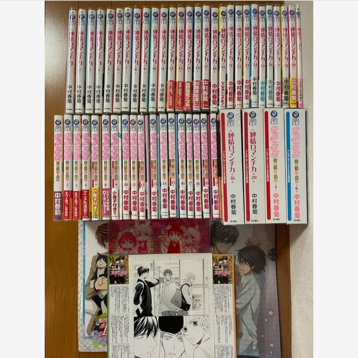 純情ロマンチカ 1~29巻 世界一初恋 1~20巻 小冊子付き特装版 全巻セット 純情ロマンチカ 1~29巻 世界一初恋 1~20巻 小冊子付き特装