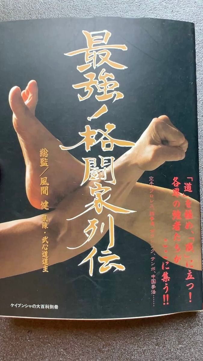 最強格闘家列伝 風間健