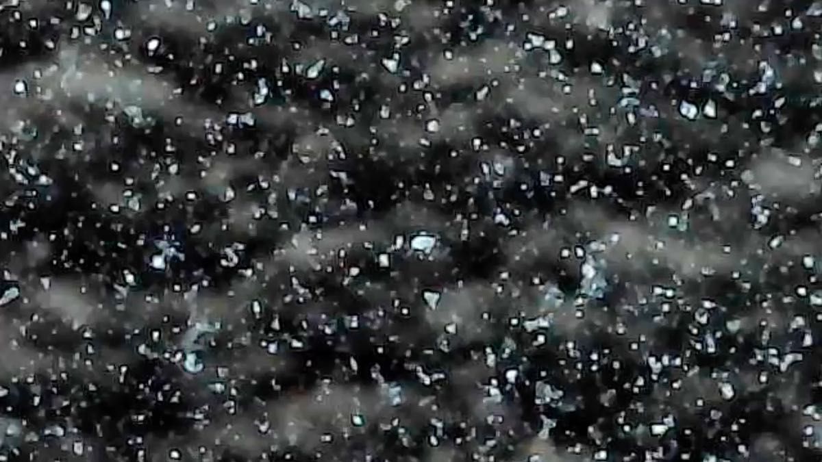 ゾウリムシ 育成キット 250ml培養液 穴あきキャップや取説あり 500ml用のパウチバッグ入り