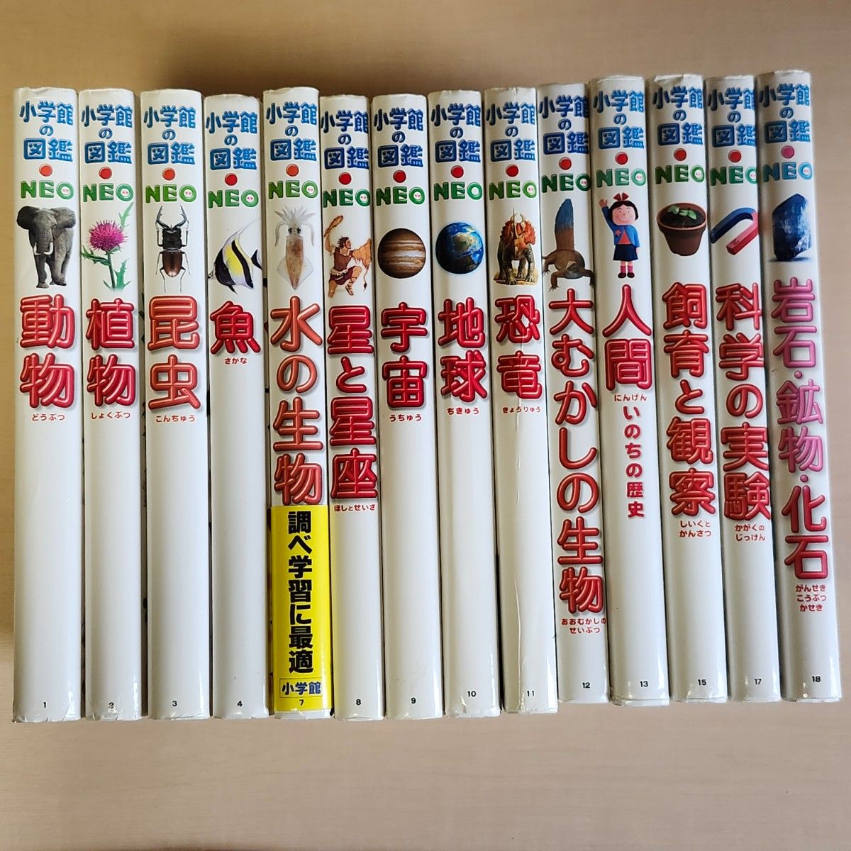 ☆小学館の図鑑NEO☆まとめ売り☆14冊 ☆小学館の図鑑NEO☆まとめ売り☆14冊 夏休みの自由研究 小学館