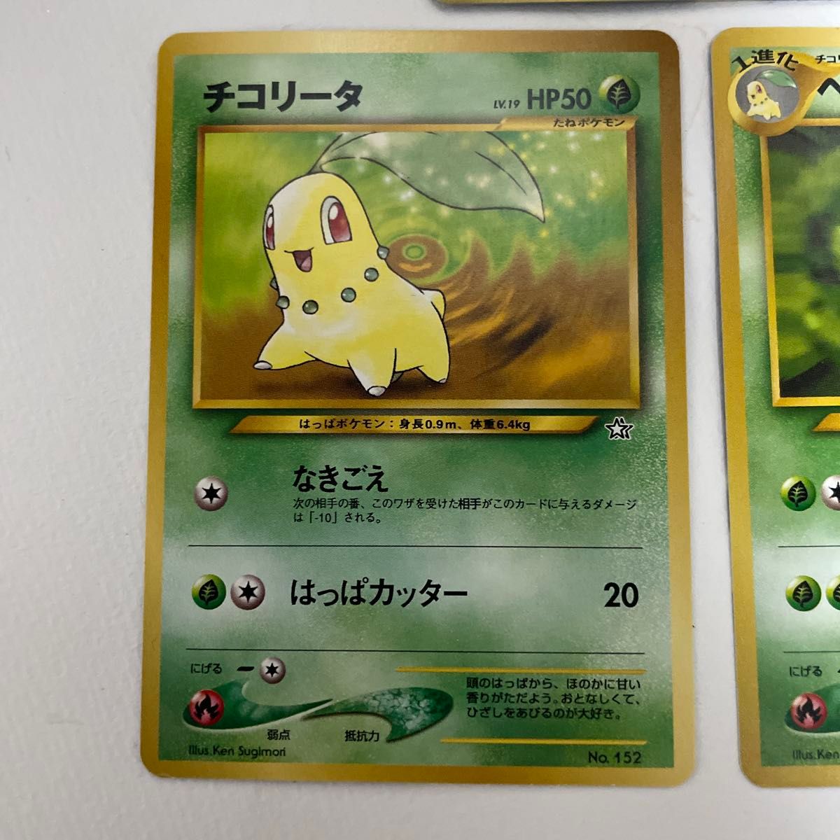 ポケモンカード ポケカ 旧裏 メガニウム ベイリーフ チコリータ 11枚セット ポケモンカード ポケカ 旧裏 メガニウム ベイリーフ チコリータ