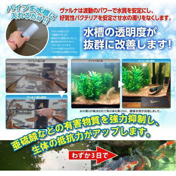 池の水質が抜群になります【ヴァルナ池用】錦鯉の飼育者絶賛! 池の水質が抜群になります【ヴァルナ池用】錦鯉の飼育者絶賛!