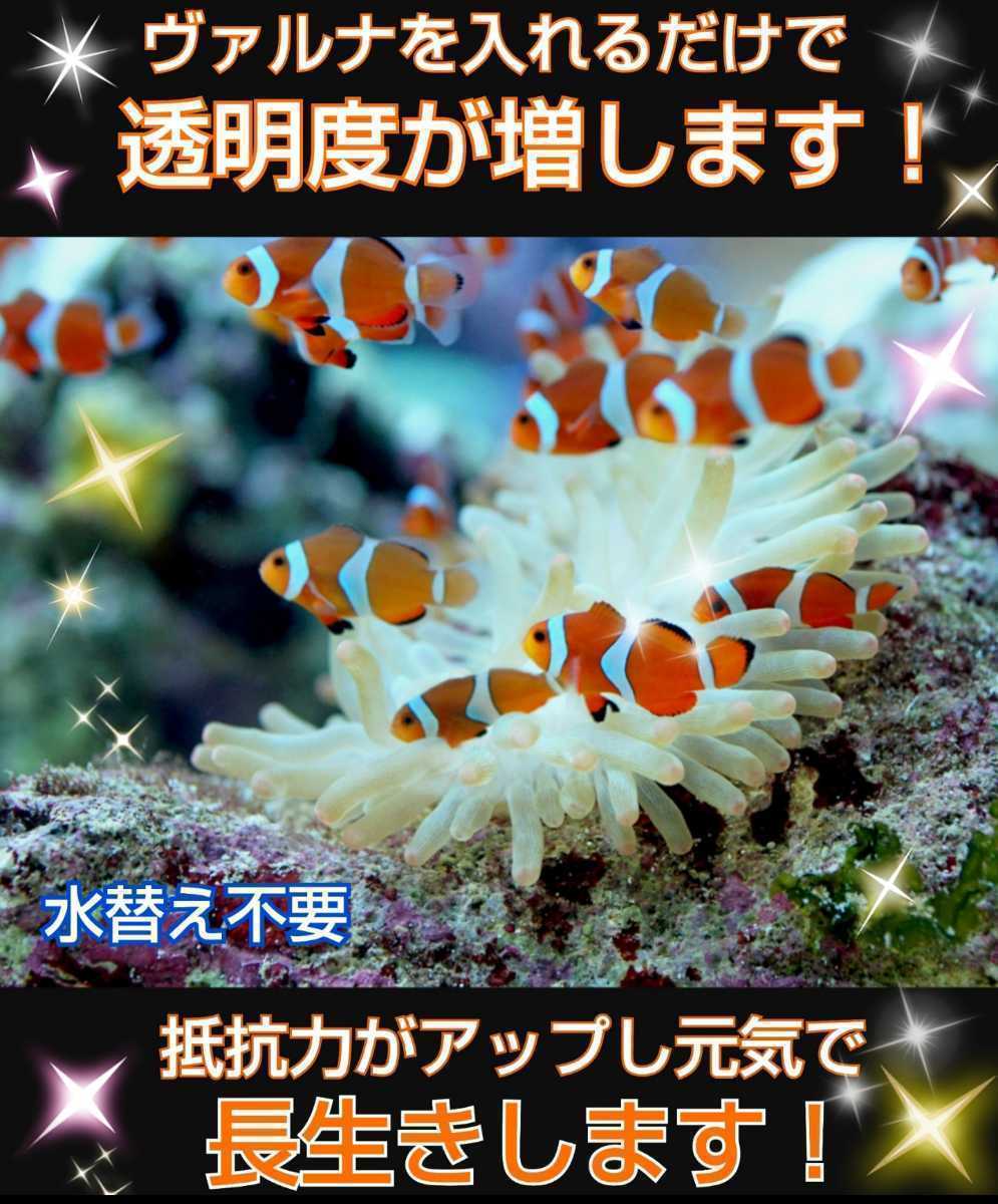 水槽の水が綺麗になります ヴァルナ8センチ 病原菌や感染症を抑制 透明度が抜群になります 水槽に筒を入れるだけ 3年水替え不要です日本代购 买对网 水槽の水が綺麗になります ヴァルナ8センチ 病原菌や感染症を抑制 透明度が抜群になります 水槽に筒を入れるだけ 3年水替え不要です日本代购 买对网