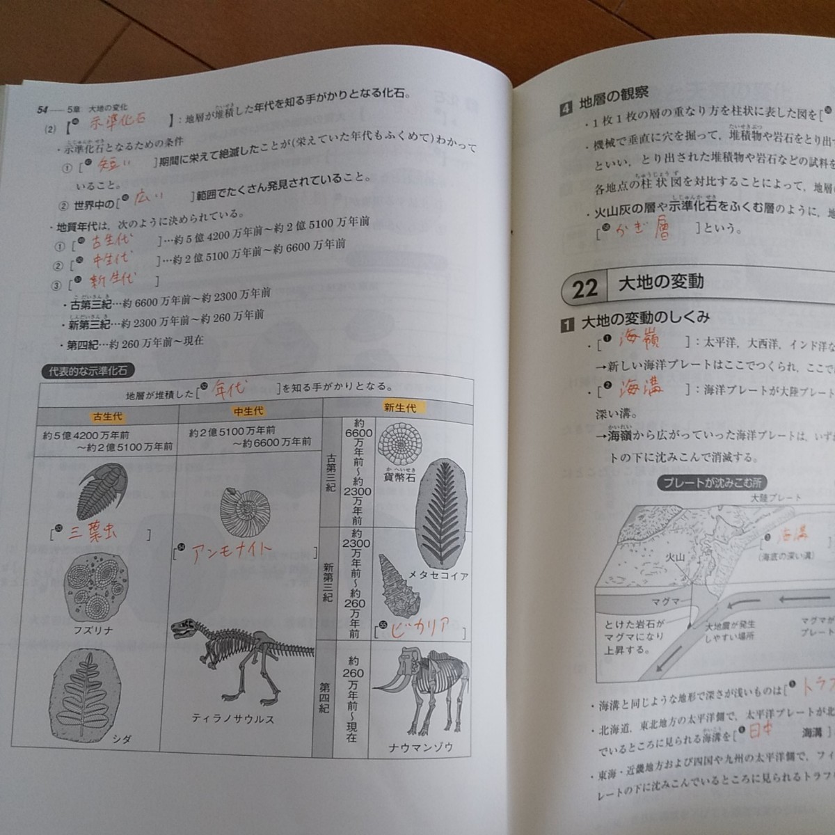 Paypayフリマ 高校入試 実力メキメキ 合格ノート 中学理科 生命 地球