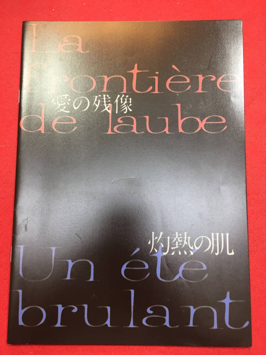 06707『愛の残像/灼熱の肌』プレス　フィリップ・ガレル　ルイ・ガレル　ローラ・スメット　モニカ・ベルッチ_画像1