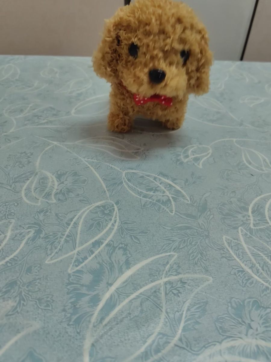 電池で動く犬のぬいぐるみおもちゃ