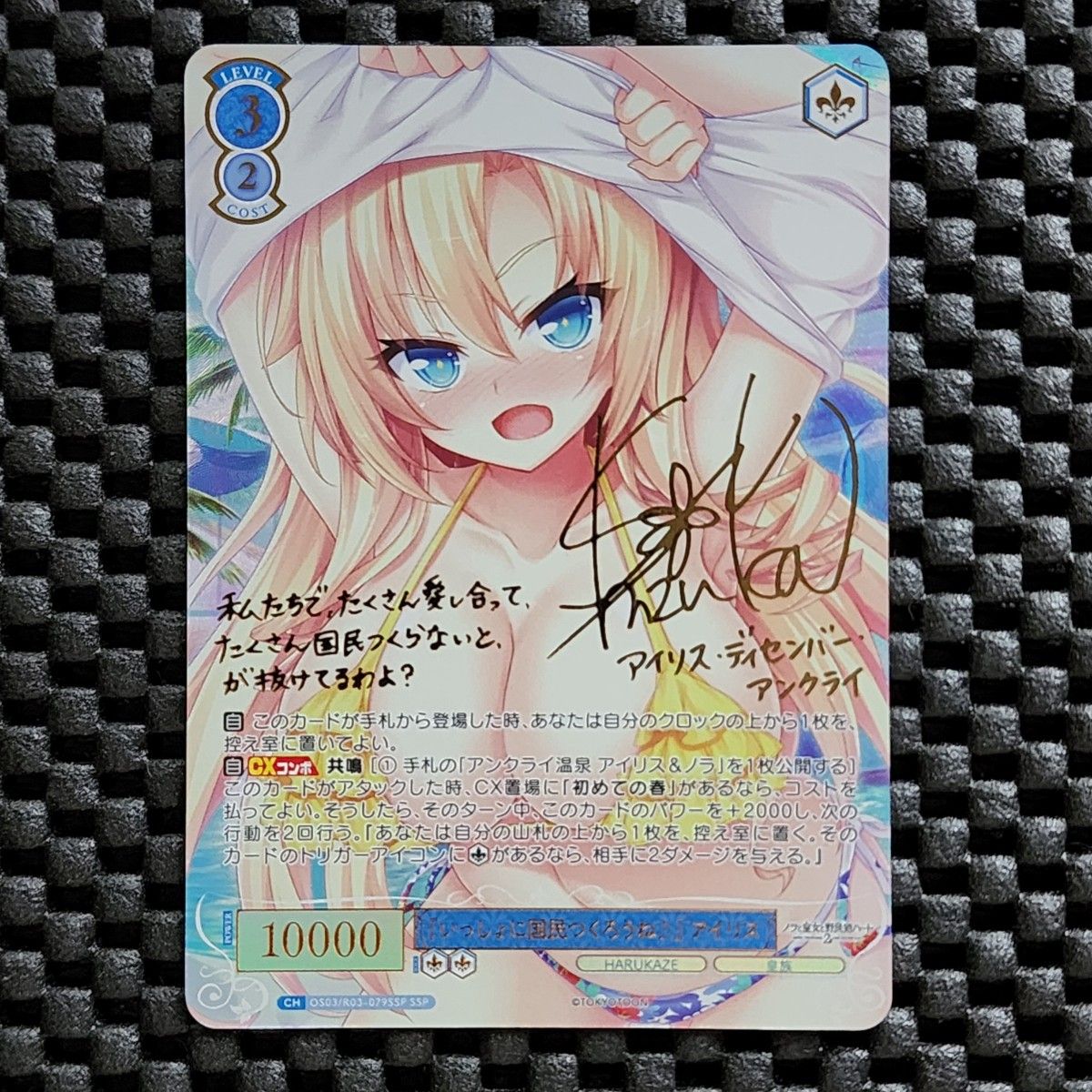 ヴァイス HARUKAZE 「いっしょに国民つくろうね♪」 アイリス SSP SSP『いっしょに国民つくろうね 』アイリス サイン ヴァイス