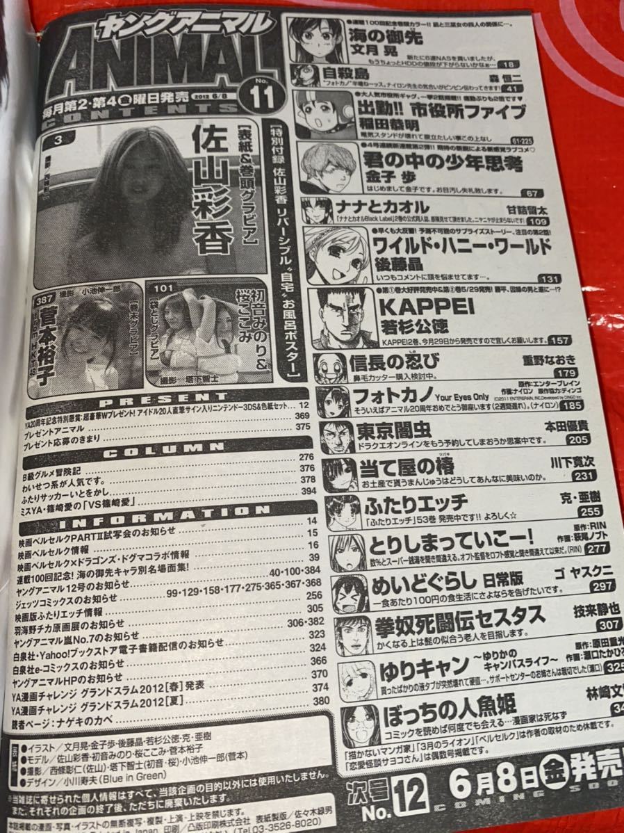 ☆ヤングアニマル 2012年No.11 No.1ティーングラドル 巻頭グラビア 佐山彩香 付録 お風呂ポスター 菅本裕子 桜ここみ 初音みのり 篠崎愛_画像7