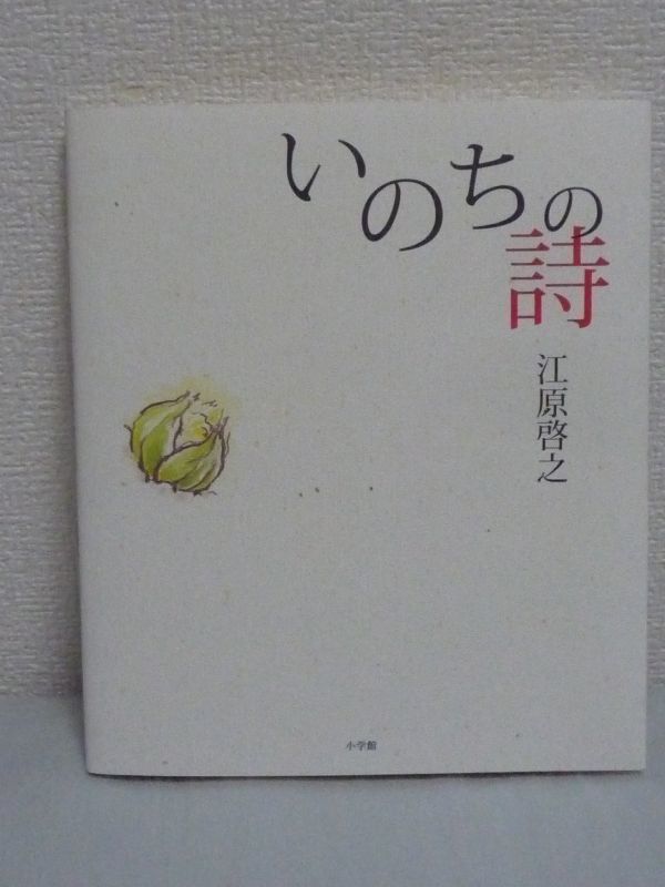 いのちの詩 CD有 ★ スピリチュアルカウンセラー 江原啓之 ◆ 「言霊」「音霊」による内観のための書 朗読エッセイ いのちの意味を探る旅へ_画像1