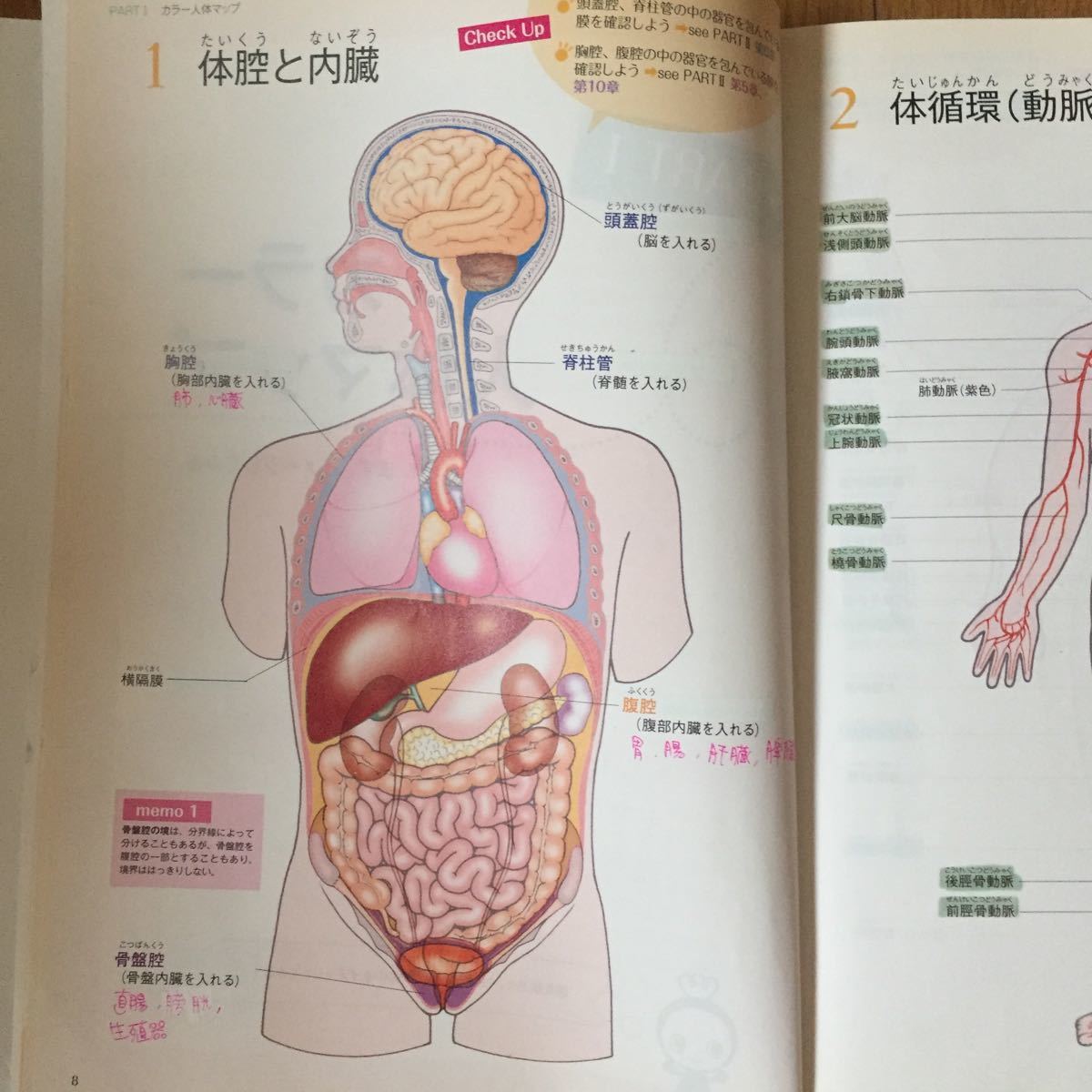 看護学生のための解剖生理よくわかるBOOK