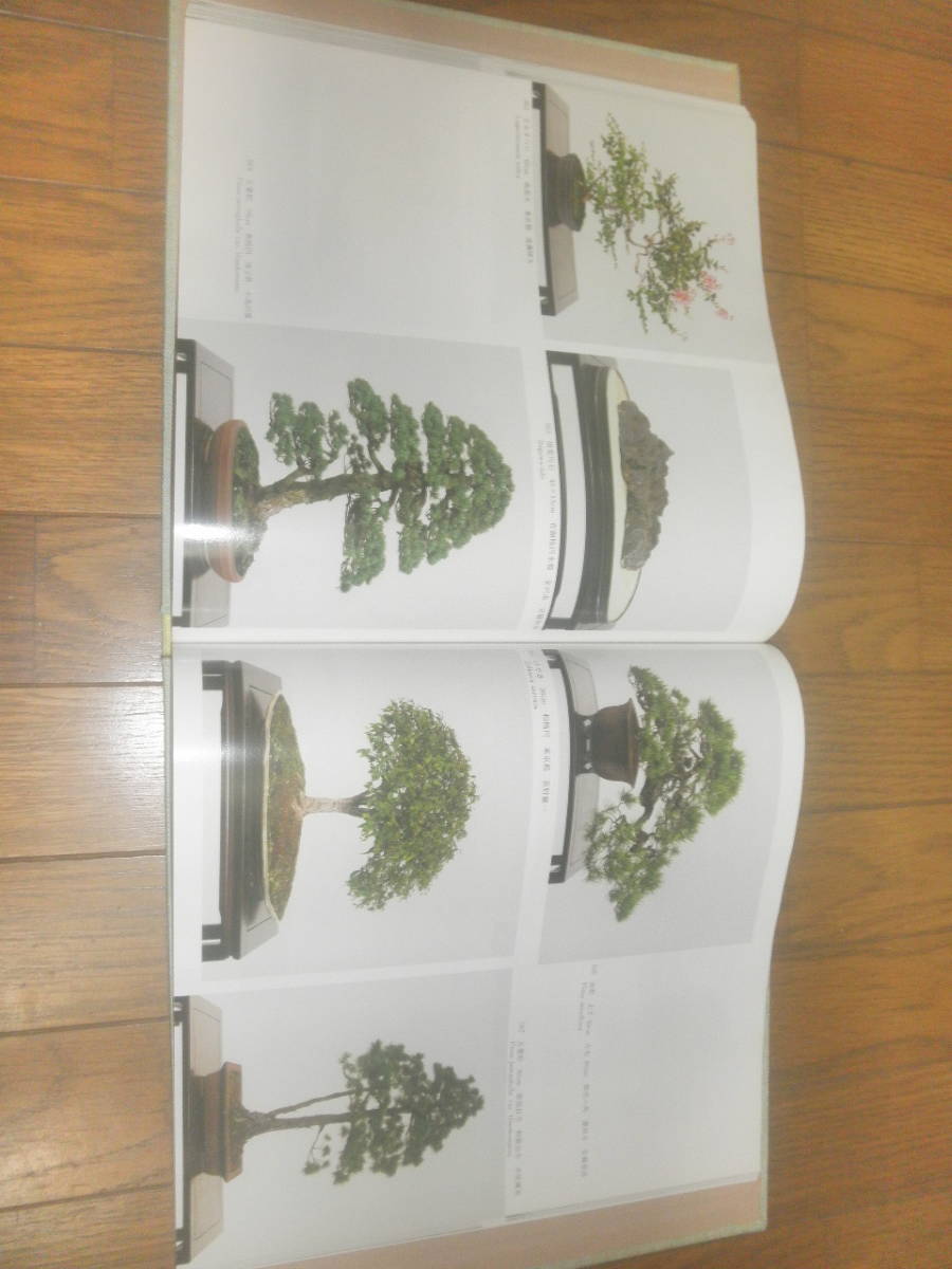  adjustment exhibition * used book@*[ international flower . green. . viewing . bonsai exhibition ]*