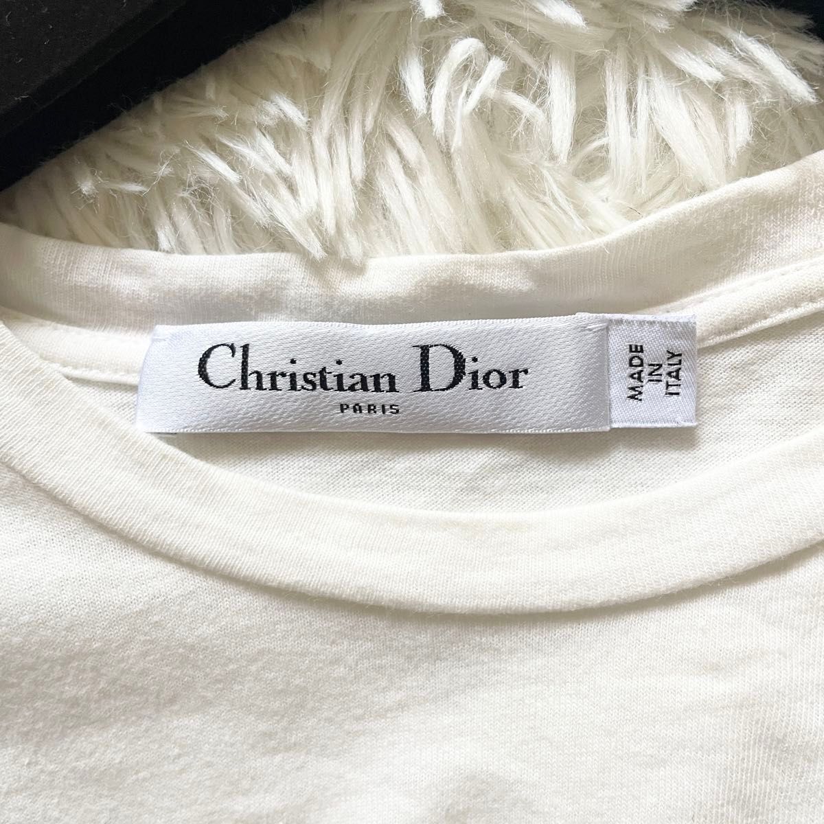 Christian Dior 21SSシグネチャーバンドロゴTシャツ カットソー 美品 Christian Dior クリスチャンディオール Tシャツ