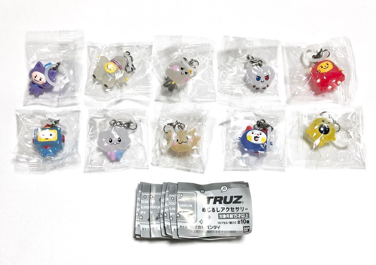 TRUZ めじるしアクセサリー 10種コンプリートセット バラ売り TRUZ めじるしアクセサリー 全10種 コンプリートセット TREASURE