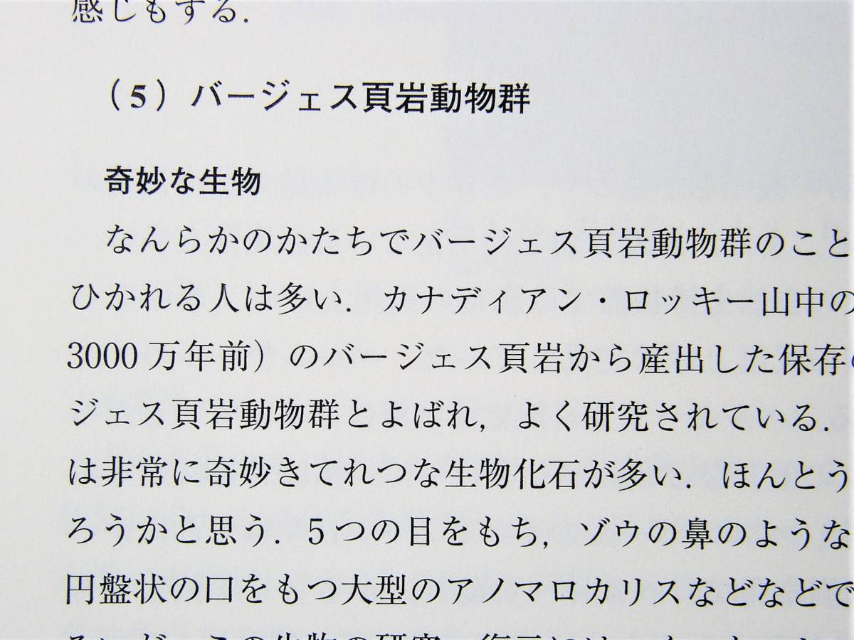 化石誌の決定版　化石の記憶　矢島道子著_画像4