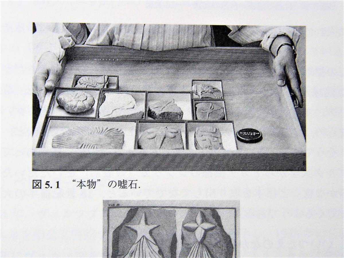 化石誌の決定版　化石の記憶　矢島道子著_画像7