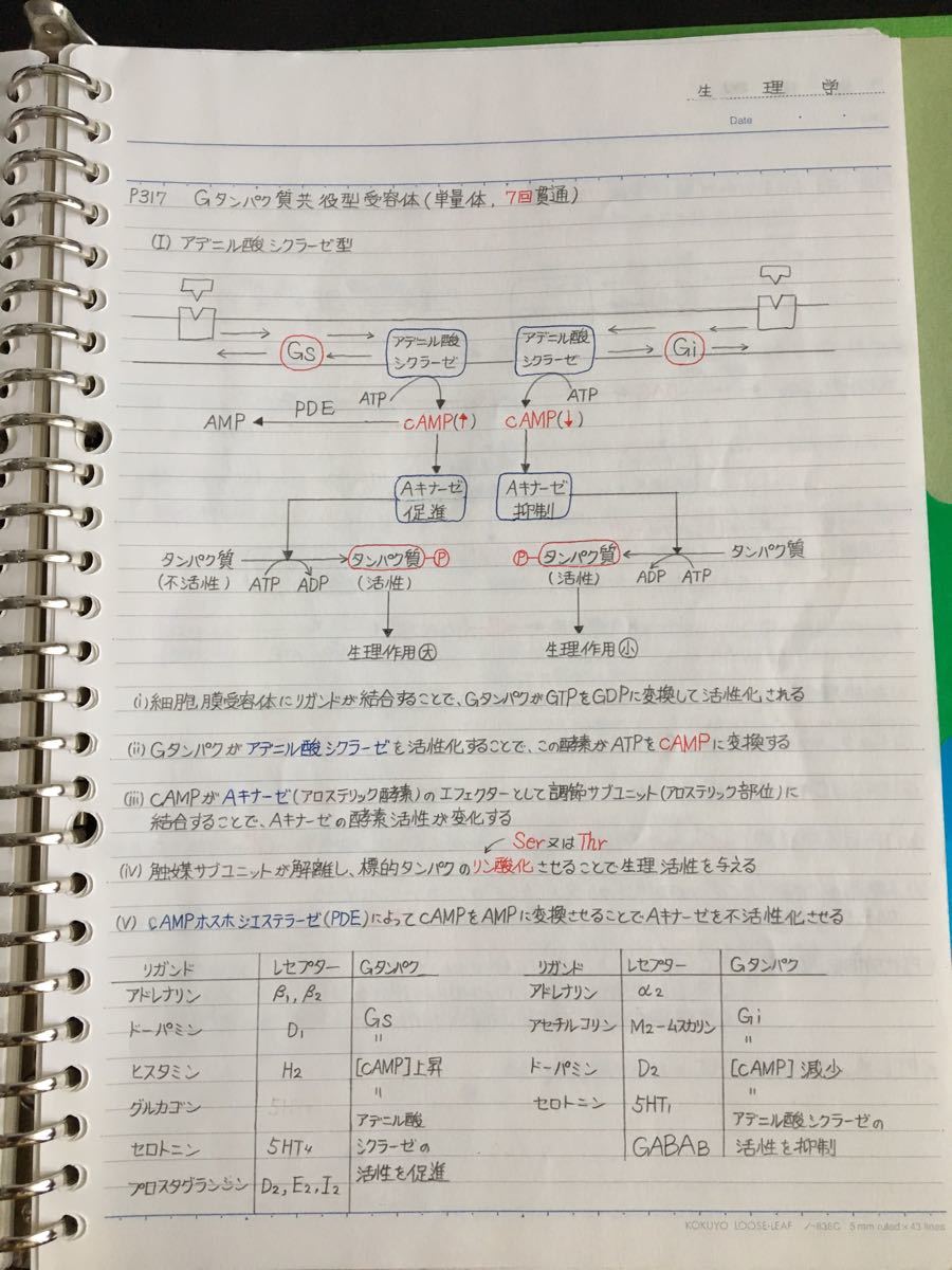 医療系学科定期試験、国家試験対策シリーズ【病理学・生理学】まとめノートセット