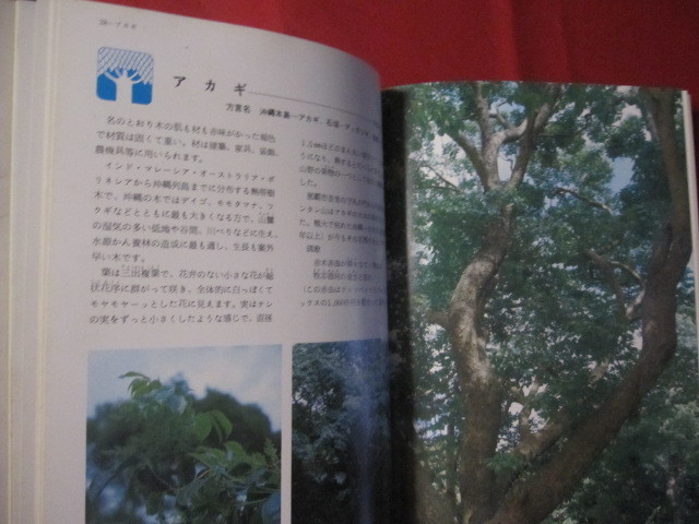 * цвет различные предметы серии ① Okinawa. природа ( растения ) [ Okinawa *. лампочка * природа * растения * культура ]