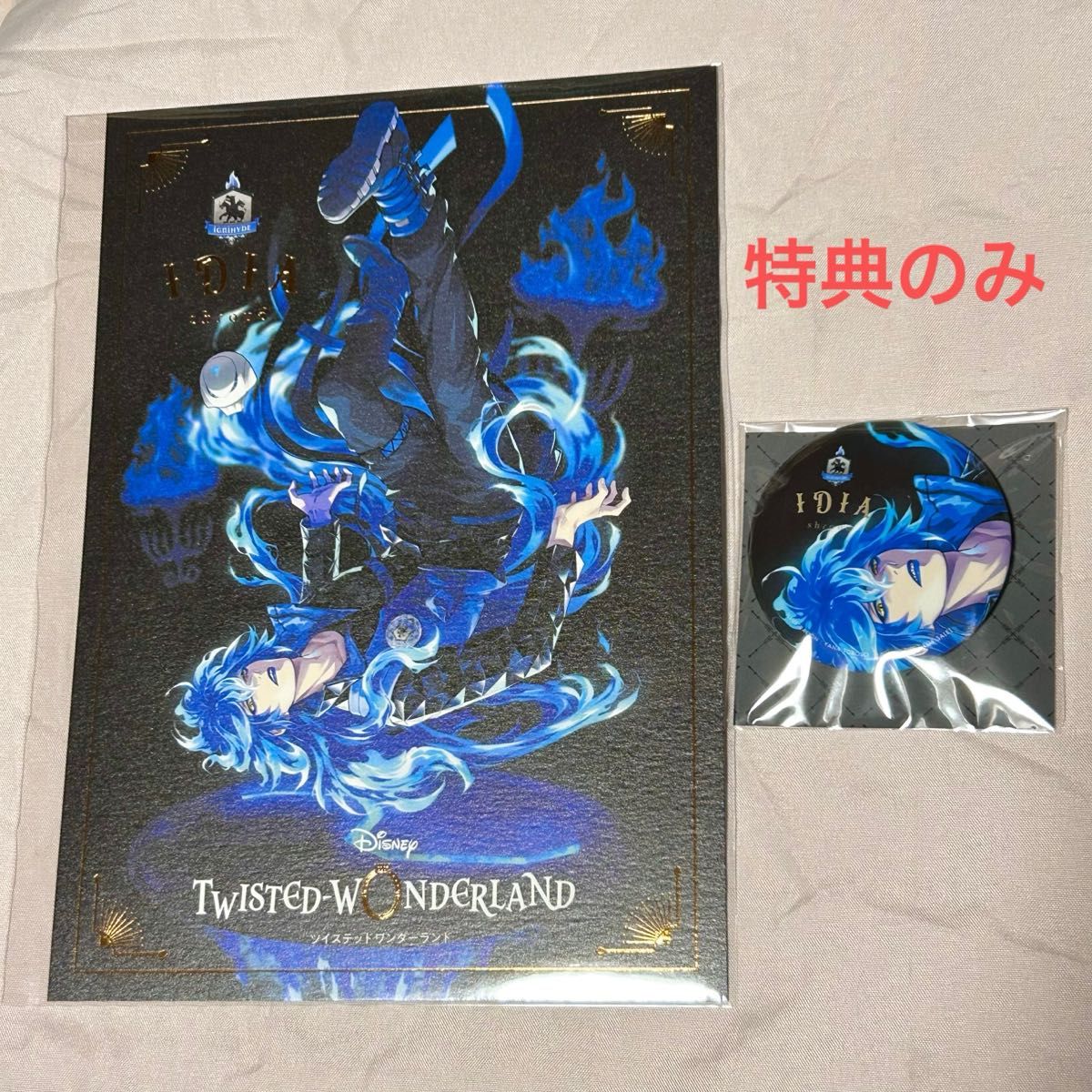 ツイステ イデア フィギュア特典 セット 缶バッジ ポストカード ツイステ 1/8スケールフィギュア 購入特典のみ 缶バッジ ポスト