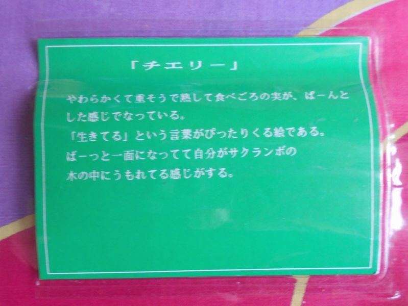 さくらんぼ柄のゆかた・チェリー・草野一騎・ikki・浴衣・生地・反物・未使用_画像6