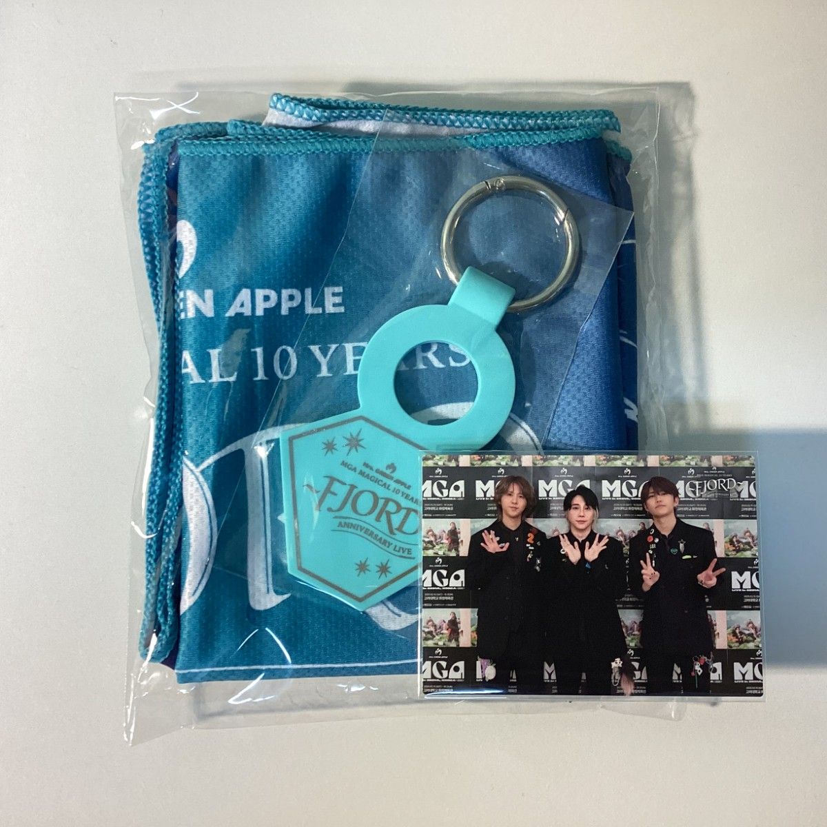 ミセス フィヨルド Ringo Jamシート 特典 山下埠頭 グッズ Mrs GREEN APPLE FJORD Ringo Jamシート 特典グッズ フォト