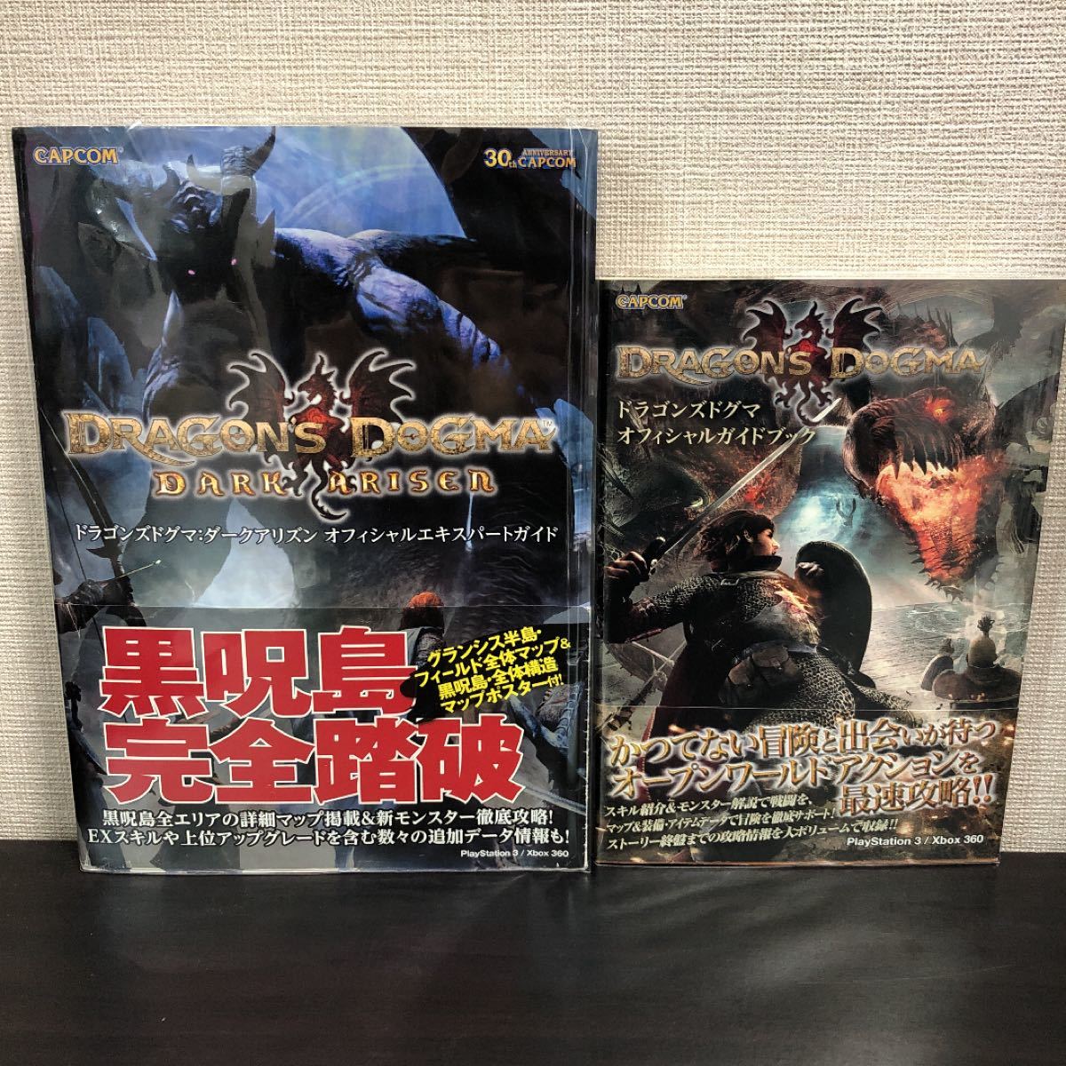 ドラゴンズドグマ ダークアリズン　攻略本2冊セット！