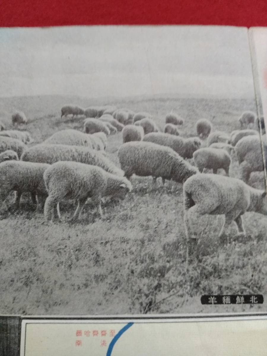 @1937年 朝鮮総督府鉄道局 交通図 検索: 軍閥 李朝 李王朝 古建築 生写真 日朝併合 満州 軍事地図 台湾 妓生美人 京城 司令部 関東軍 平壌_画像8