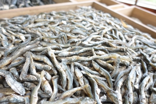 Setouchi Anchovy Eseric Eseric вареный 1500 г