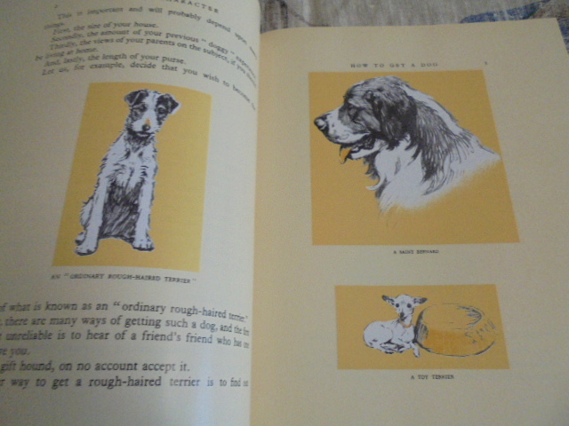  foreign book Dogs of Character Irish Wolf is undo. Mickey . bull terrier. cracker. life. record .. dog. illustration . Qun!