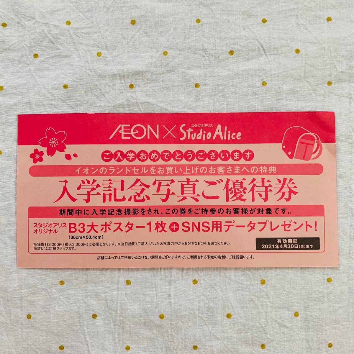 Paypayフリマ イオン スタジオアリス 入学記念写真ご優待券 Paypayフリマ イオン スタジオアリス 入学記念写真ご優待券