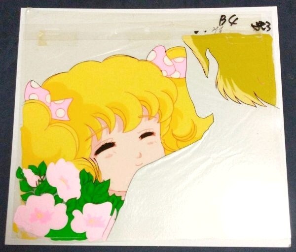 レディレディ!!　セル畫