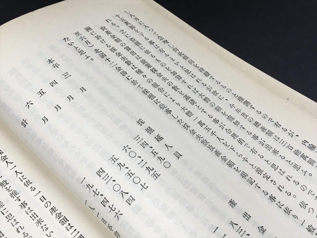 戦前 中国【満洲の採金に就て 日満実業協会 昭和10年】検 満洲鉄道 満鉄 支那事変 日中戦争 日本軍 中国共産党 C19の画像8
