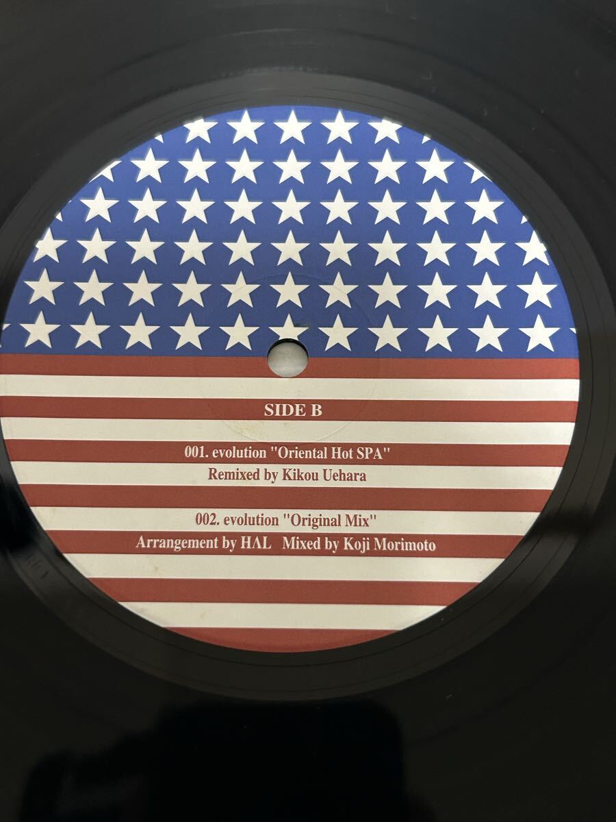 ◇N145◇ LP レコード Ayumi Hamasaki 浜崎あゆみ Evolution エボリューション Rhythm Republic / RR12-88220_画像6
