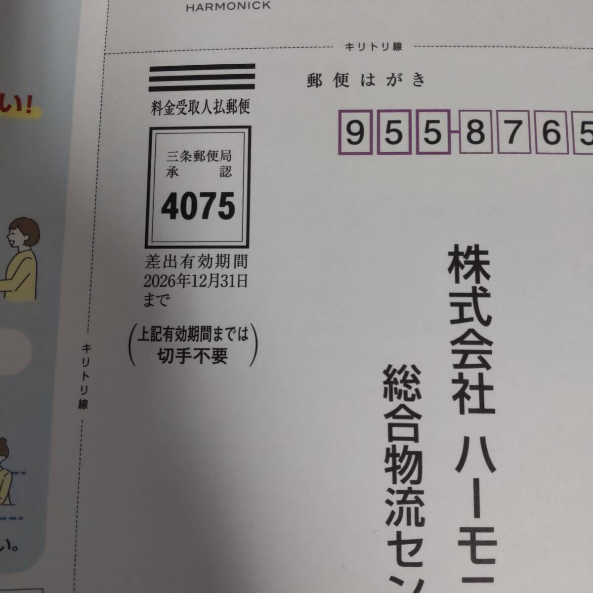 【未使用】カタログギフト テイクユアチョイス オンシジウム ハーモニック 申込有効期間：2026年1月28日まで KK95650RF