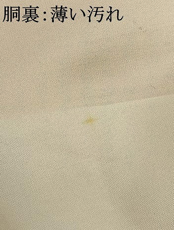 平和屋着物■上質な色無地　舞花地紋　卵色　正絹　逸品　AAAX6532mf_画像5