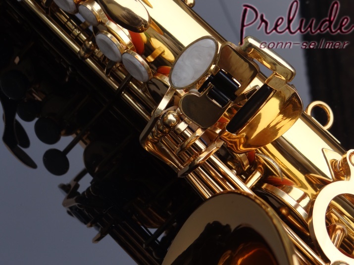  рис cell ma- альтсаксофон Prelude-by Selmer AS710 внутренний .. отрегулирован новый товар бесплатная доставка Gold Rucker полужесткий чехол др. принадлежности дополнение 