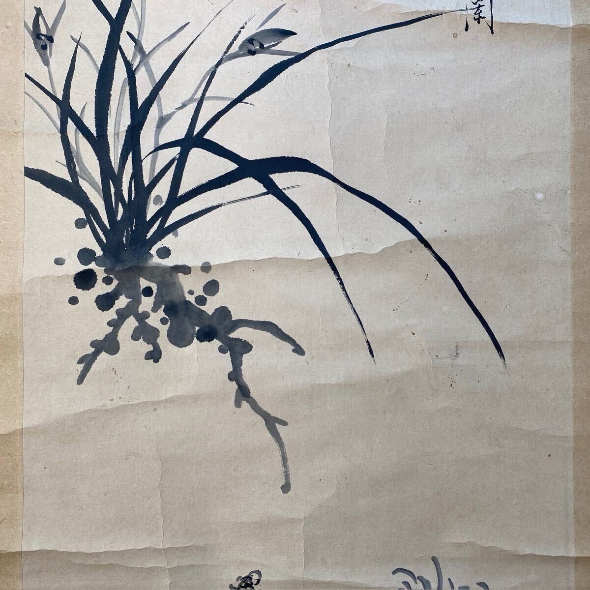 掛軸 水墨画 肉筆 6枚まとめて 水墨画 掛軸 中国画 肉筆 紙本 蘭図 模写(掛軸)|売買された