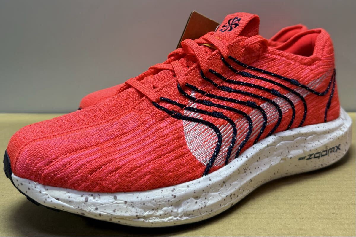 NIKE ナイキ PEGASUS TURBO NEXT NATURE ペガサス ターボ ネクスト ネイチャー ランニング 26cm_画像1