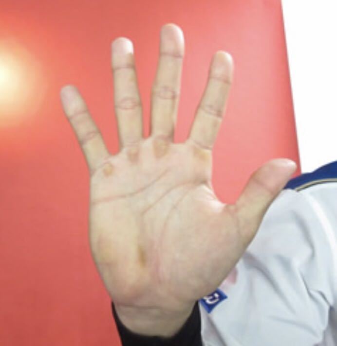 大谷翔平3D手形プレート　2016年パリーグMVP記念 大谷翔平3D手形プレート 2016年パリーグMVP記念 Yahoo