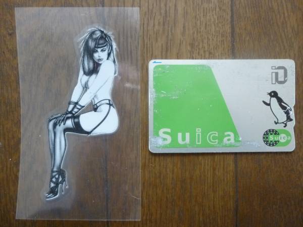 新品 SEXY GIRL転写ステッカー4.2×9.7cm2枚セット\150即決 No.20_画像2
