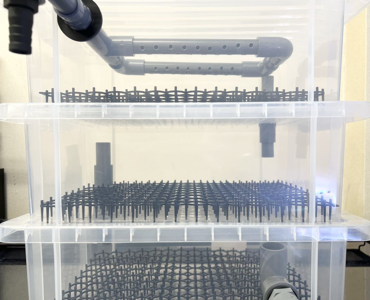 自作 濾過装置 3段ボックス クリア 濾過層 濾過器 金魚 メダカ 濾過装置 自作 濾過装置 3段ボックス クリア 濾過層 濾過器 金魚 メダカ