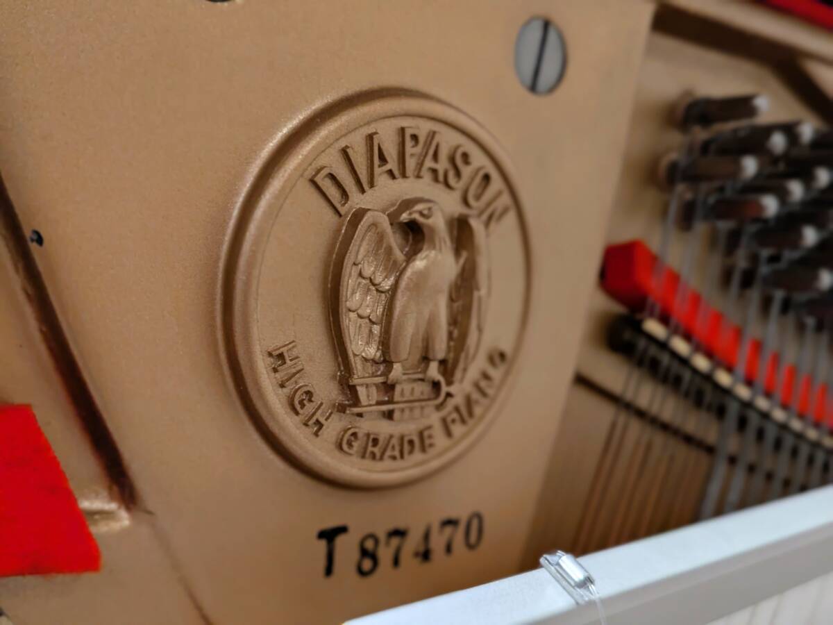 超希少】 DIAPASON ディアパソン 132-GW 総アグラフモデル 大橋ピアノ