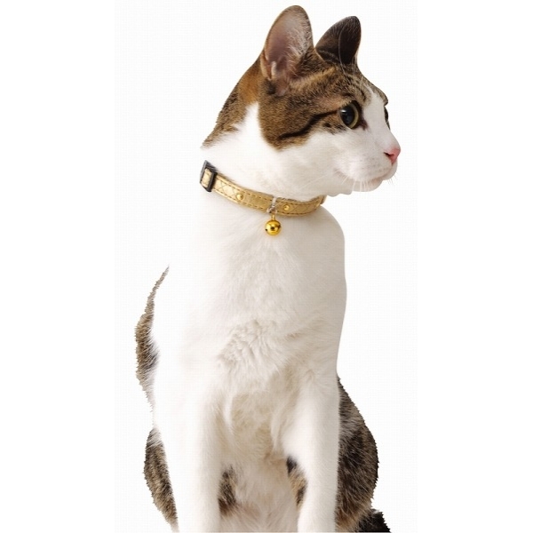 petio роскошный цвет Gold ошейник для кошки 