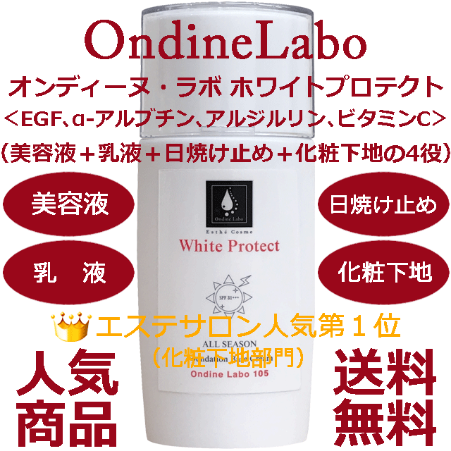 ★☆エステサロンご用達＆人気商品☆★ホワイトプロテクト_画像1