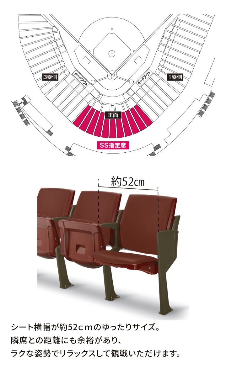 プロ野球チケット 広島vs巨人 マツダスタジアム8月28日(木)18時