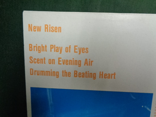 EYELESS IN GAZA/NEW RISEN●12inch_画像3