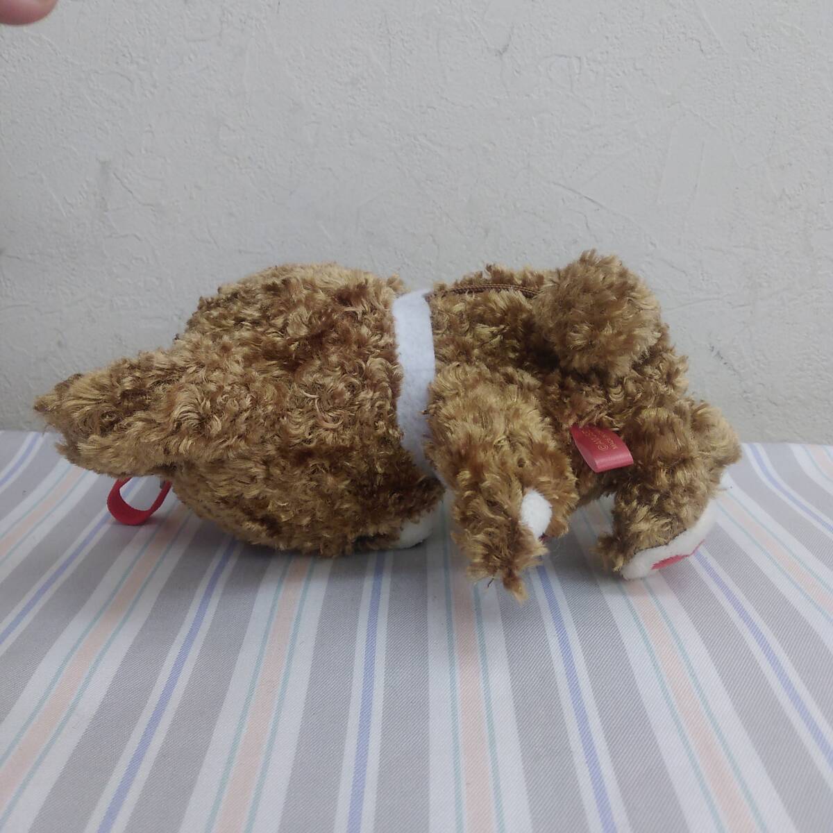 [ игрушка ] мягкая игрушка [ мой книжка Bear : медведь. сумка 2 шт ] высота : примерно 20cm не стирка товары долгосрочного хранения приз подарок герой товары 