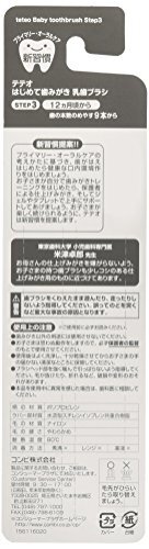 コンビ Combi テテオ teteo はじめて歯みがき 乳歯ブラシ STEP3 (歯の本數(shù)の目安:9本以上) 自分で奧歯まで磨く練習に